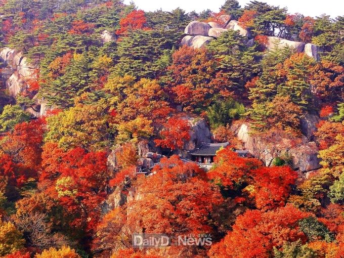 영천시 은해사 중암암