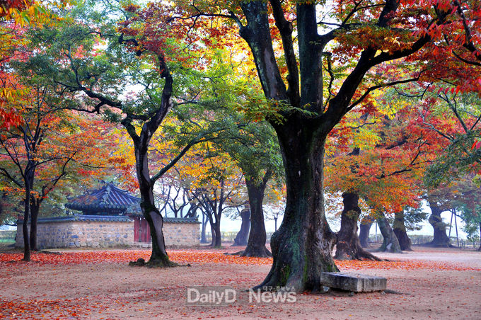 계림추경(고수경).