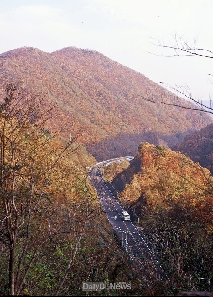 추령재 단풍