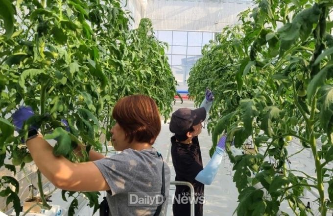 예천_스마트팜테스트베드_농업인_교육