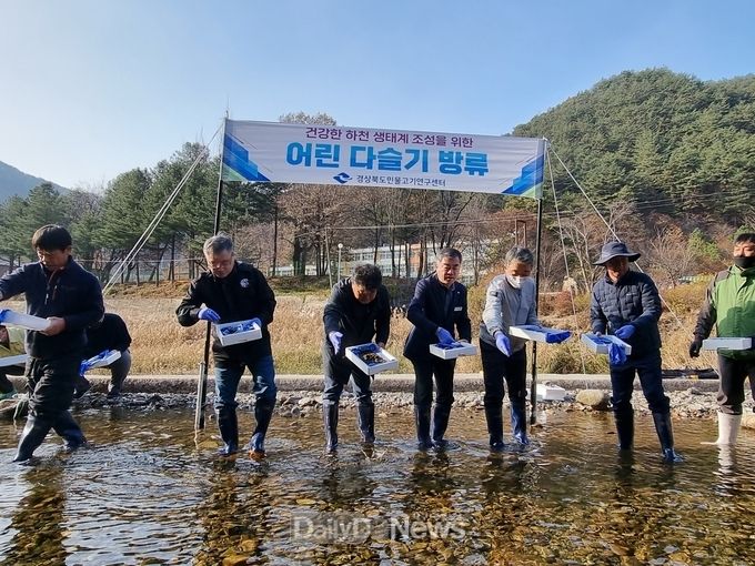 소천면 현동천에 생태하천 복원 위해 ‘다슬기 치패’ 방류
