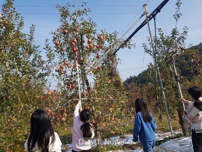 2022년 성주군청소년방과후아카데미 ‘특별주말체험(3회)’ 실시