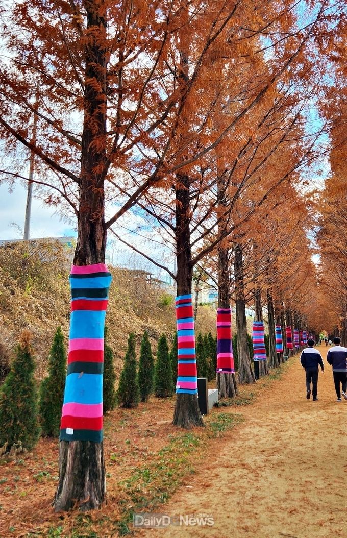 영천시 우로지 자연숲 가로수 색동옷