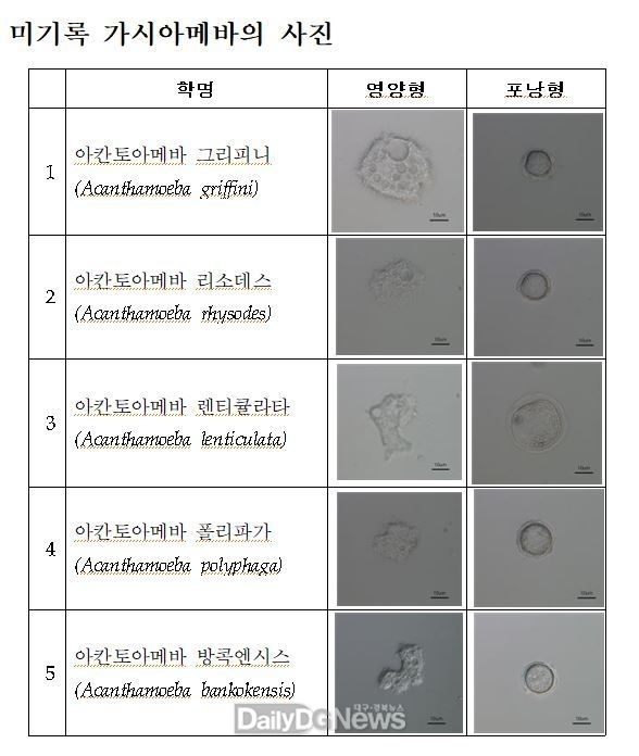 국립낙동강생물자원관 제공