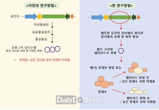 국립낙동강생물자원관, 방선균 유전체 기반 암세포 생장 억제 펩타이드 개발