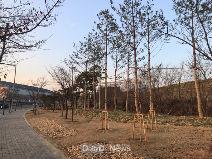 대구 동구 혁신도시 미세먼지 차단 숲 모습. (사진=동구청 제공)