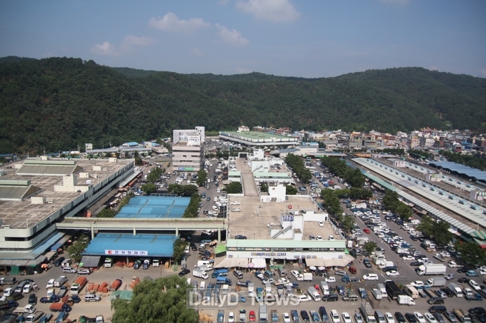 대구 매천동 농수산물도매시장 전경. (사진=대구시 제공)