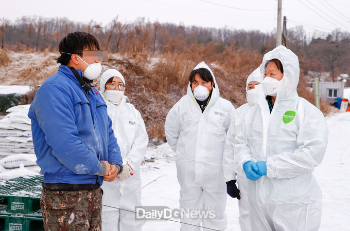 성주군, H5형 AI항원 검출에 따른 긴급방역 시행