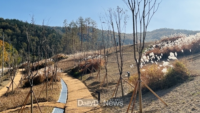 구미시, 구포 쓰레기 매립장 ‘다온숲’으로 재탄생!
