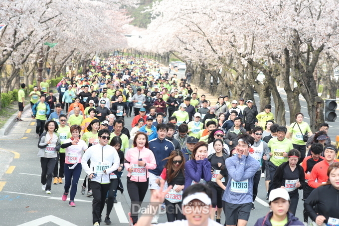 4년 만에 새봄 새로운 시작 2023 경주 벚꽃마라톤대회 4월 1일 개최
