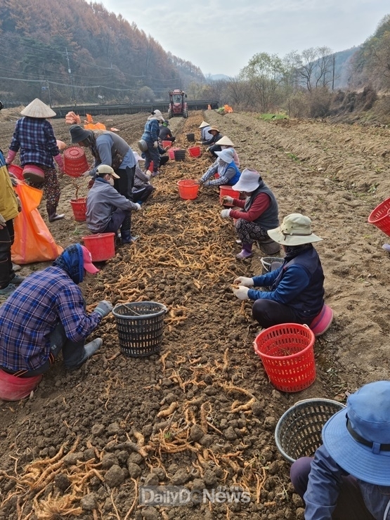 2022년 외국인 계절근로자 농작업 현장사진