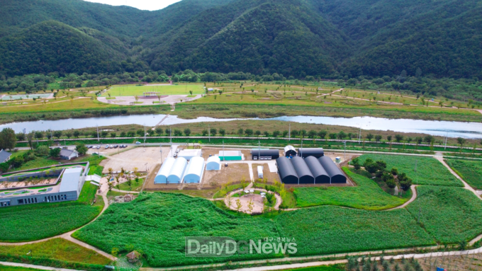 안동포 문화공원 일원(산업용 헴프 재배 실증 현장)