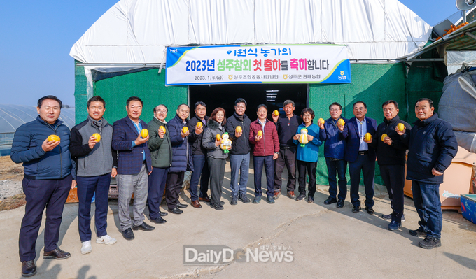 황금빛“성주참외”올해 첫 출하