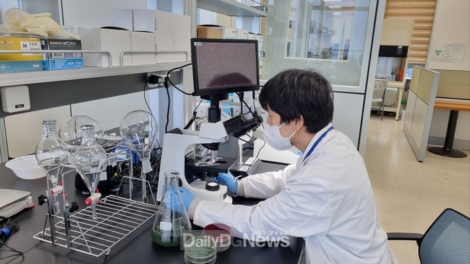 포항시 수산물품질관리센터에서 수산물에 대한 위생 검사를 진행하는 모습
