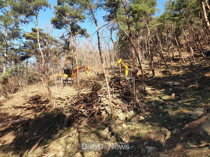 성주군 산림축산과 산불예방 숲가꾸기사업 추진완료