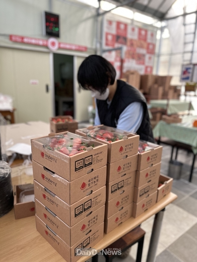 세이베리 딸기농원, 지역 어린이 위한 사랑의 손길 이어져