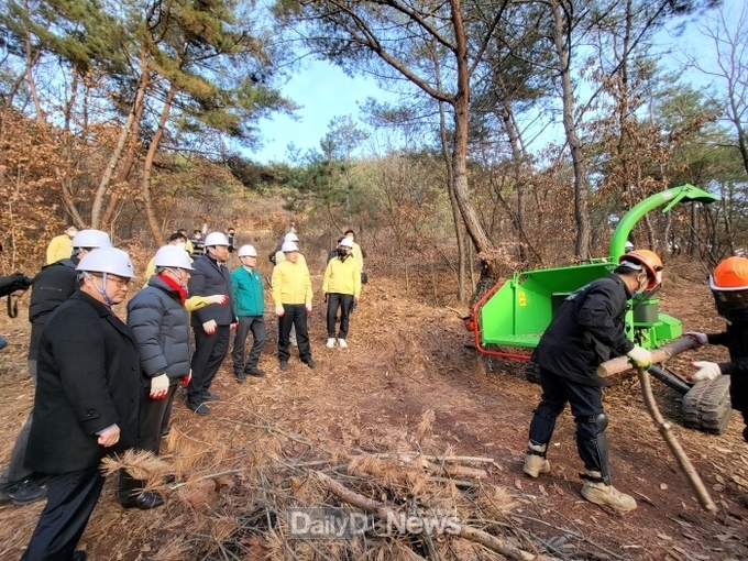 정희용 의원, 고령군 소나무재선충병 방제 현장 점검