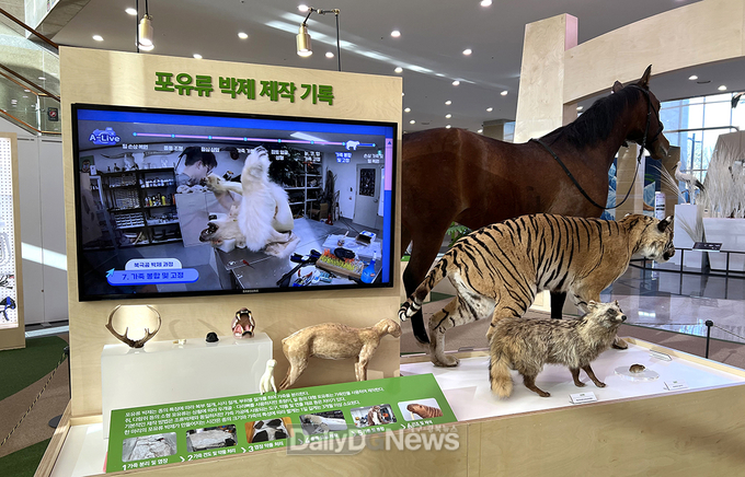 국립낙동강생물자원관, ‘박제 - 기억과 가치를 보존하다’특별전 개최