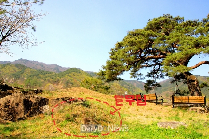조선의 명당 말무덤
