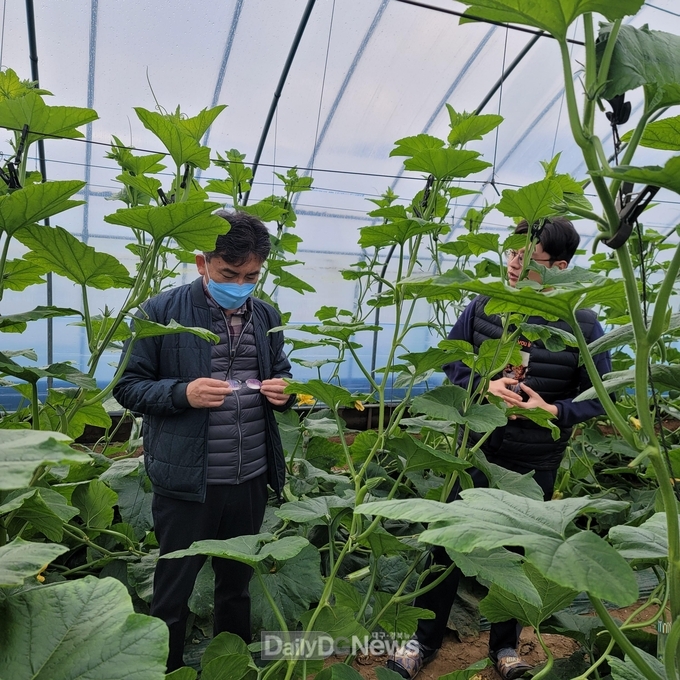 농업 현장기술지원 강화로원예작물 분야,‘시설 하우스 환경개선’등 고품질 생산기반 조성