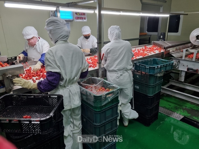 고령 딸기, 2023년‘농촌 융복합 산업지구’공모 선정으로 국비 30억 확보