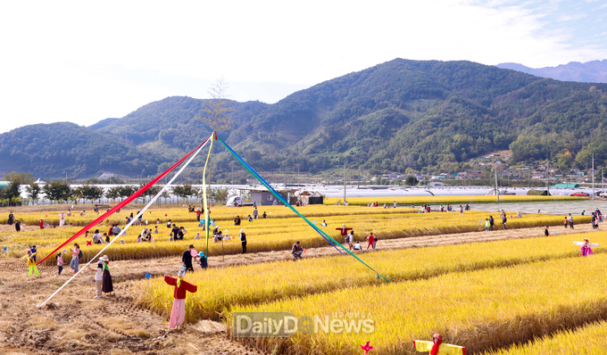 성주군, 경상북도 2개부문 대표축제 선정 쾌거