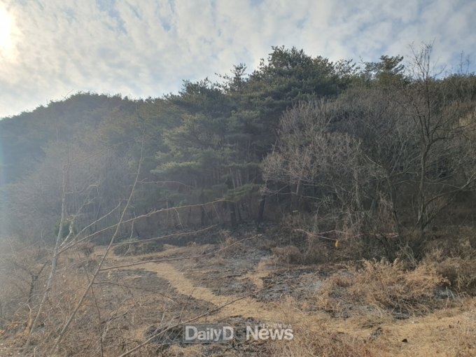 울진군, 산불 방화범죄 엄중 처벌 방침