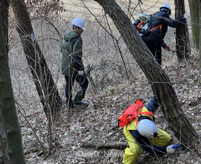 예천군, 소나무재선충병 방제사업 본격 추진