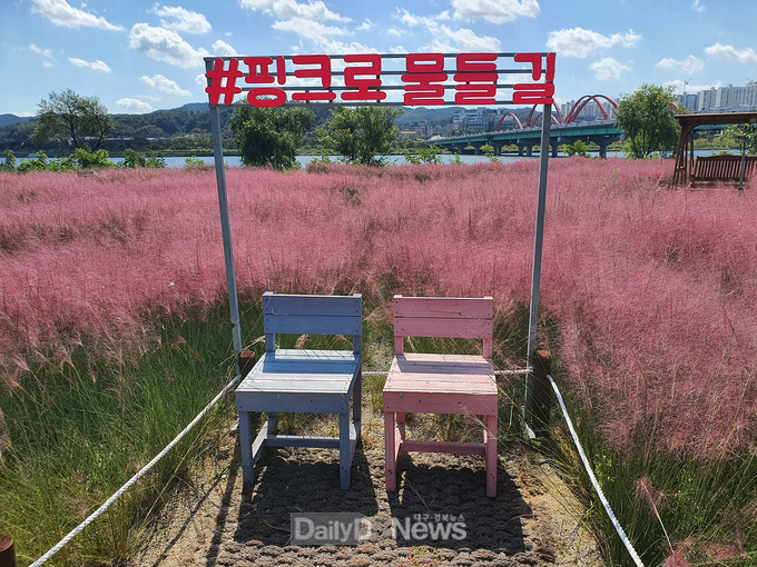 안동 낙동강 둔치, 명품 수변 공원으로 재탄생