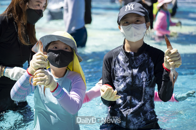 울릉도 오징어 축제, ‘제11회 대한민국축제콘텐츠대상’수상