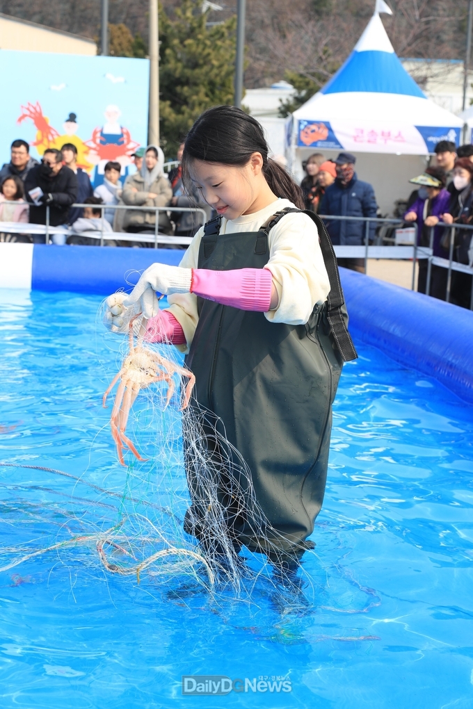  울진대게와 붉은대게 축제 한창_맨손잡기 체험