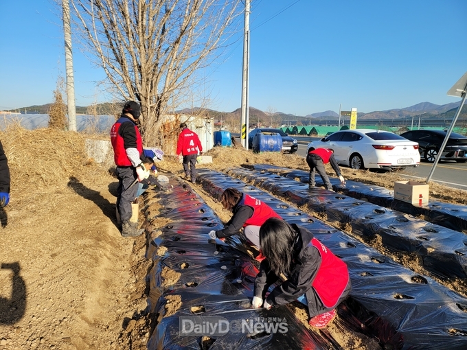 칠곡군 지천면 지역사회보장협의체, 행복텃밭 가꾸기