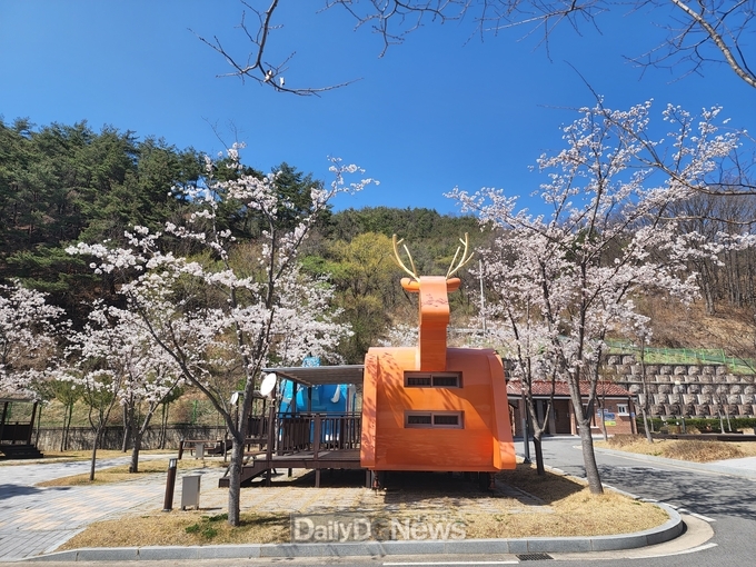  봉화청량산캠핑장
