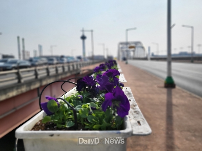 일상 속 작은 행복 봄꽃 식재
