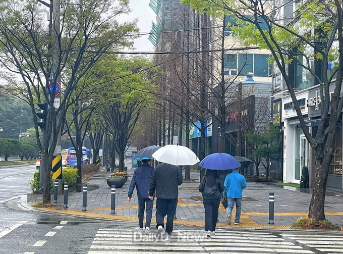포항 촉촉이 적신 단비...산불 걱정 덜고, 농민 한숨 돌렸다