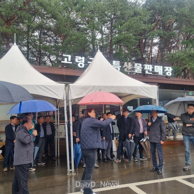 고령군 간부공무원 및 관계자, 축제 현장 점검 강화