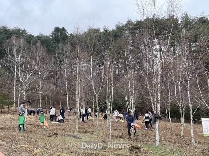 국립백두대간수목원, 국토 녹화 50주년 기념 자작나무 2,000주 식재