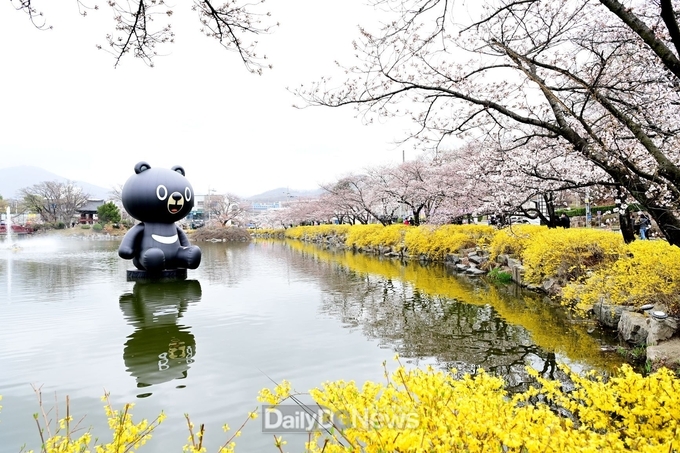 김천시, 교동 연화지 