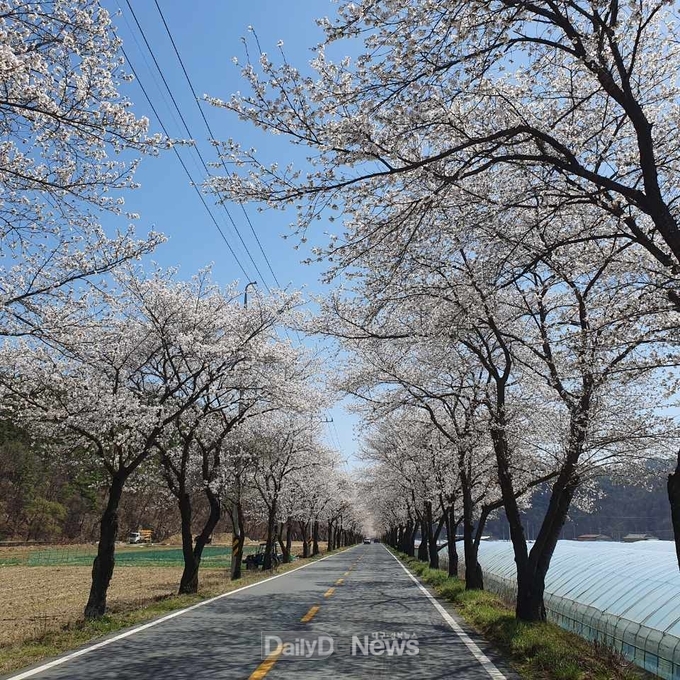 마을 곳곳에 화단 조성, 지역작가 전시회 등 통한 다채로운 볼거리 마련
