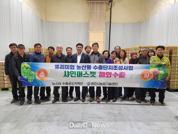 영천 프리미엄 샤인머스켓 대만 수출