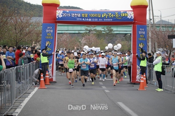  영천댐의 아름다운 벚꽃길, 함께 달려요