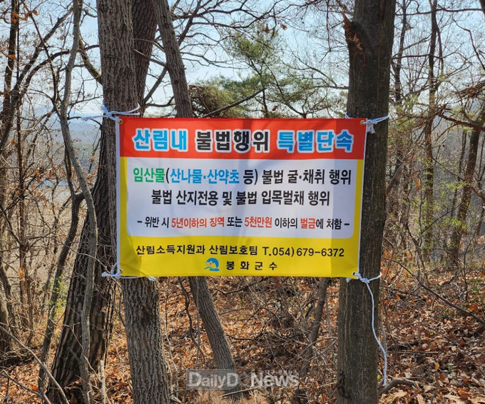 봄철 산림 불법행위단속