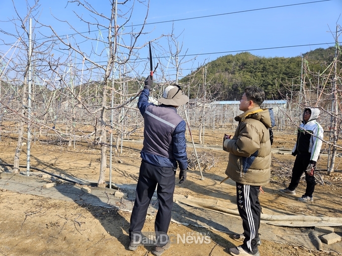 영덕군, 2023년 신규농업인 현장실습 교육 추진