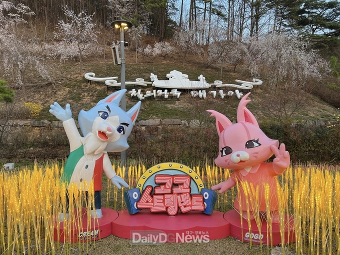 고령군, ‘고고 스트링밴드’가 고령대가야축제에 떴다 (크림&고고)