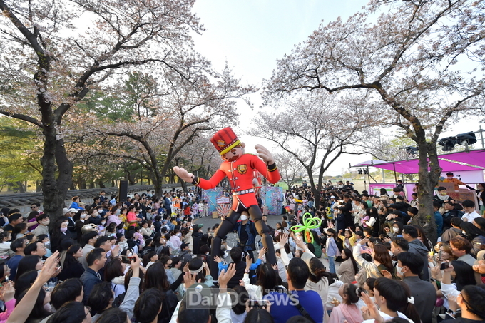 경주벚꽃축제 24만명 다녀가