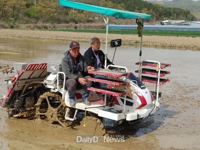 영천시 풍년기원, 첫 모내기 실시