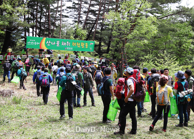 산나물축제 산나물채취 체험행사 접수