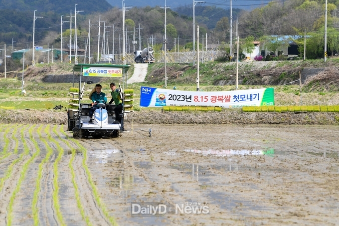 20일 영주시에서 ‘8‧15 광복쌀’ 올해 첫 모내기가 시작됐다