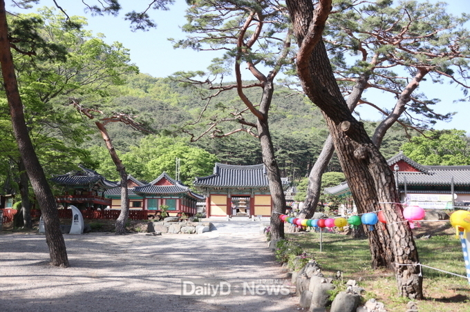  포항 보경사, 5월 4일부터 무료로 입장하세요! 문화재 관람료 전면 폐지