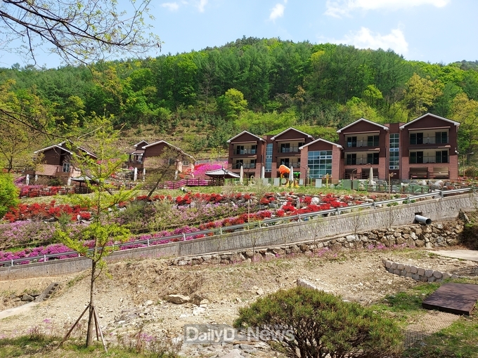 성주군, 가야산야생화식물원 봄 맞이 새단장!